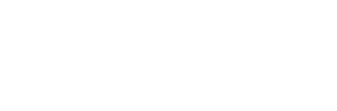 Sany